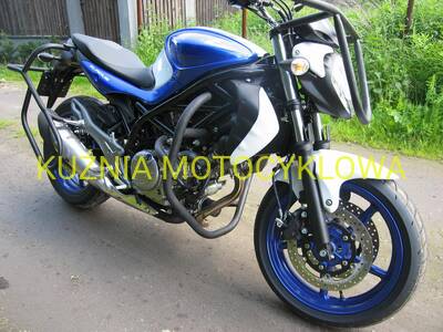 GLADIUS SFV 650 ???? ??? ???????? ?????? ? ?????????