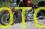 /environment/cache/images/400_400_productGfx_7a213cdf8eb5e716febf007b1b1ffebe.jpg